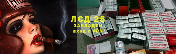 стаф Алексин