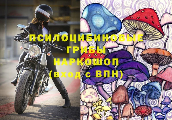 стаф Алексин