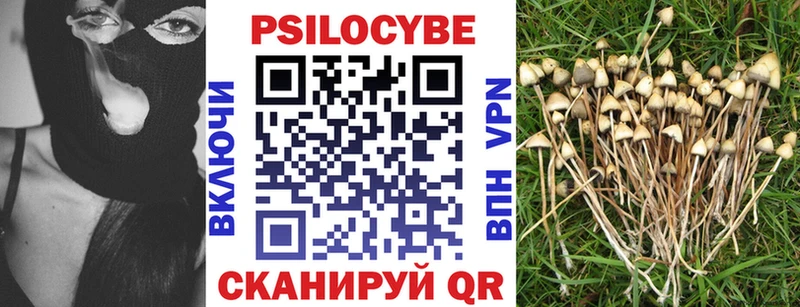 Псилоцибиновые грибы GOLDEN TEACHER  что такое   Протвино 
